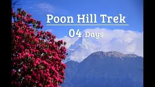 Ghorepani Poon Hill Trek - View Nepal Treks and Expedition