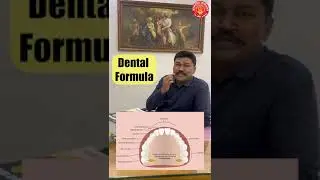 Dental Formula #mpsc #science #sciencefacts #upsc #mpsccombine