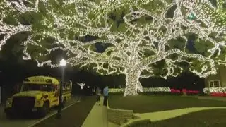River Oaks neighbors annoyed by Christmas lights visitors