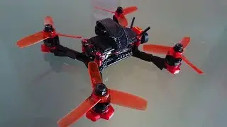 TOMOQUADS KAMIKAZE