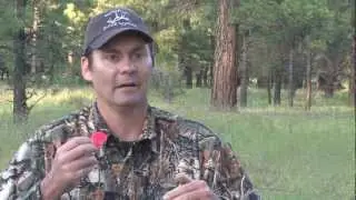 Elk Calling- Tips on Cow Calls with Steve Chappell