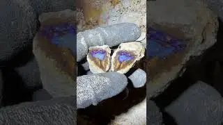 Colorful rough Koroit opal! #boulderopal #thecometopalmine #koroit #koroitopal #opal