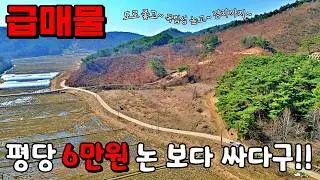 (NO.8682) 급매물 논보다싸다구!! 평당6만원 넓은 전 보전관리지역