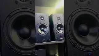 Edifier R2000DB BOOKSHELF SPEAKERS | Powered Bluetooth Bookshelf #edifier #bookshelfspeaker #music
