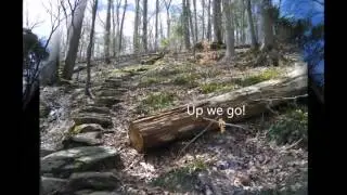 Zoar Trail, Newtown CT.  Hiking Paugussett State Forest