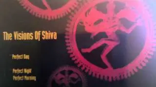 THE VISIONS OF SHIVA 'Perfect Night'