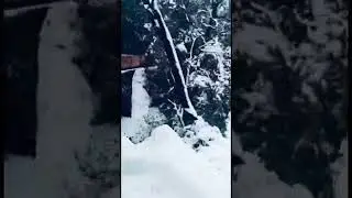 Snowfall #shimla #firstsnow #snowtrainrunnin #awesomeweather #beautifulindia #shorts
