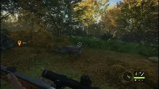 theHunter: Call of the Wild.Me encuentro otro coleccionable mientras rastreo un gamo herido.