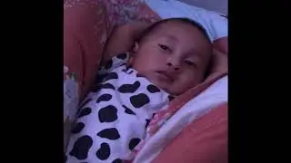 Giivideo #2 - Ketika Gii Boboy