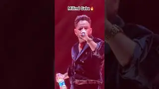 Milind gaba concert, las olas club goa #milindgaba #goa #concert #omerijaan