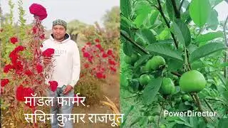 पोषण वाटिका मॉडल फल सब्जियां फूल और सजावजी व औषधीय पौधों से सुसज्जित प्राकृतिक कृषि संस्थान साँथी 