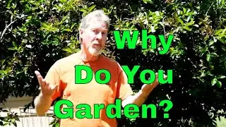 Easy Garden Design -  The Vision
