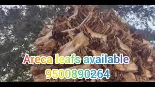 Arecaplate Raw material  |CheranEngineering |9500890264