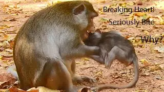Heart Breaking & Shaking! Anna Bite Baby Alba Seriously,Cry Seizing, Turning Head, Cry Hurt, Nearl