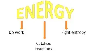 Campbell's Biology: Chapter 8: An Introduction to Metabolism