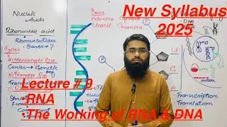 6.6 The Working of DNA and RNA | Class 9 Biology | Smart syllabus 2026| Transcription & Translation