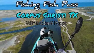 Fishing Fish Pass (Corpus Christi TX)
