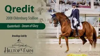 Qredit (Quaterback - Dream of Glory), Champion of 70-day Test, USDF Horse of the Year