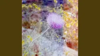 To Be Born