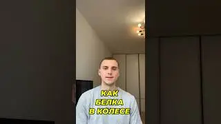 Застрял в дне сурка