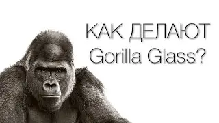 Как делают Gorilla Glass | База Знаний