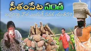 Seethampeta tribal market in Andhrapradesh//సీతంపేట గిరిజనుల సంత //Indian tribal market