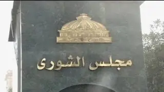 New Egypt constitution a step closer