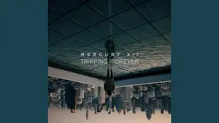 Tripping Forever