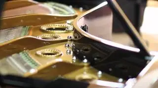 Bechstein Grand Piano For Sale - SAP Renovation 4436