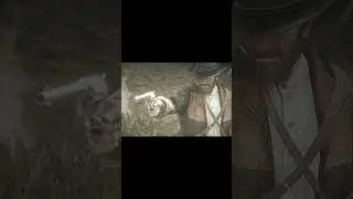 STOP Making These RDR2 Mistakes on Hardcore Mode