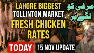 Lahore Biggest | Tollinton Market | Freshest Chicken Rates Today! (15 Nov 2025)