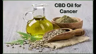 CBD Oil for Cancer
