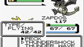 Pokemon Crystal World Boss Run - Leader Falkner