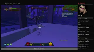 Trove Building my Castle House