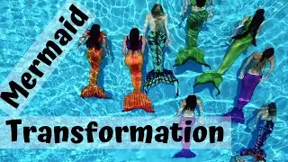 Mermaid pod transformation to humans