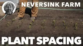 Gardening Basics - Plant Spacing