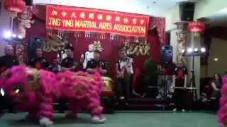 Jing Ying Martial Arts Chinese New Year - Lion Dance - Year of the Horse