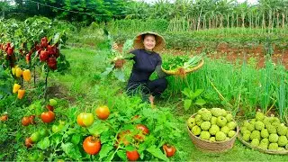 Harvest: Tomatoes, Custard Apples, Bell Peppers For Sale At The Market – Care For The Tomato Garden