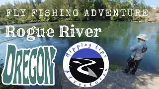 Rogue River Trout - Second Experience Fly Fishing in Trail, Oregon