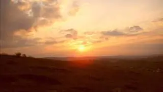 Alpapagulu #1