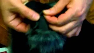DSCN1176