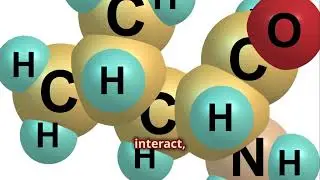 Understanding SH2, Zinc Leucine Zipper, ASH Domains