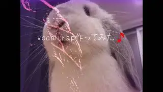 【vocaltrap作ってみた】