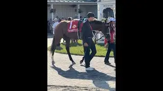 Handicapping 101 Part 3. The Results! You Can Win Big!
