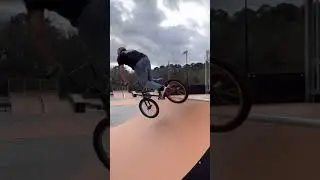 BMX tricks           #bmxfreestyle #freestylebmx #bmx #bmxisfun #bike #fabiobikefreestyle