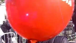 CLIP0095