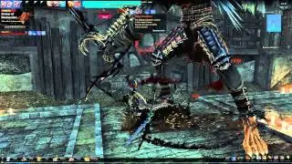 Vindictus - Lann Glas Solo (Twin Sword)