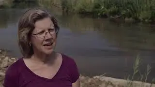 Cleaning the Lake: Overview