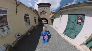 Életre kelt a táj Zergi Borival: Kőszeg