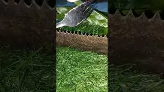 How to Fix a Dull Saw in Minutes with Household Tools